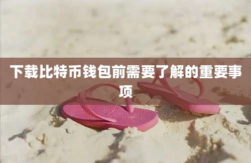下载比特币钱包前需要了解的重要事项