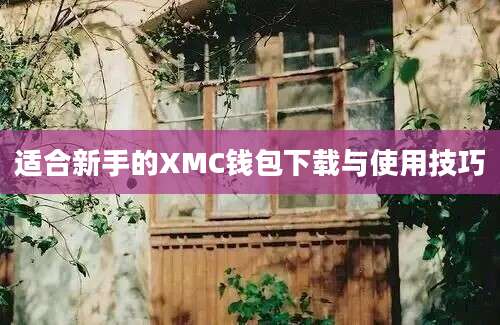 适合新手的XMC钱包下载与使用技巧