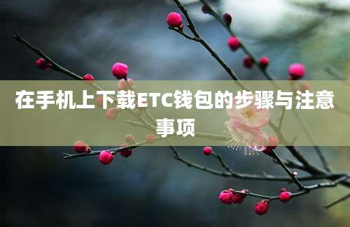 在手机上下载ETC钱包的步骤与注意事项