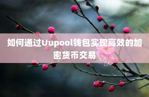 如何通过Uupool钱包实现高效的加密货币交易