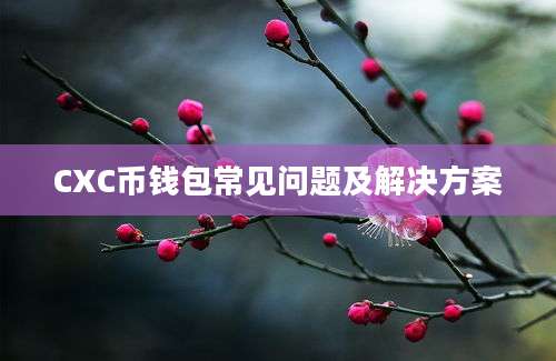 CXC币钱包常见问题及解决方案
