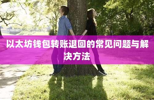 以太坊钱包转账退回的常见问题与解决方法