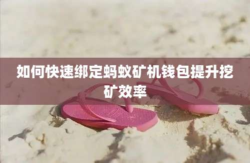如何快速绑定蚂蚁矿机钱包提升挖矿效率