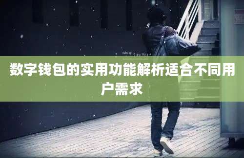 数字钱包的实用功能解析适合不同用户需求