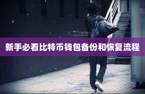 新手必看比特币钱包备份和恢复流程