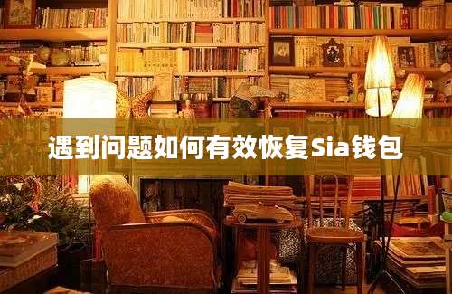 遇到问题如何有效恢复Sia钱包