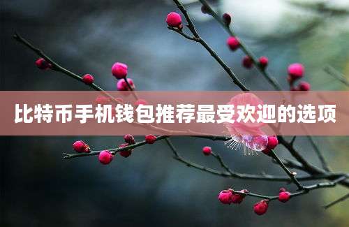 比特币手机钱包推荐最受欢迎的选项