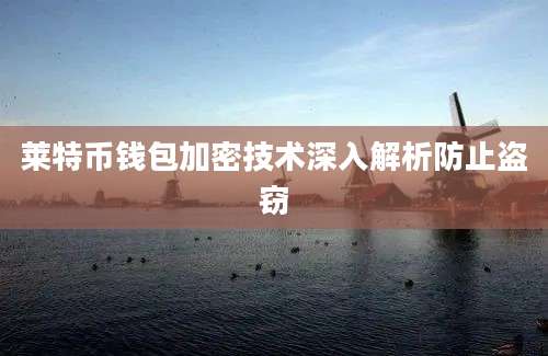 莱特币钱包加密技术深入解析防止盗窃