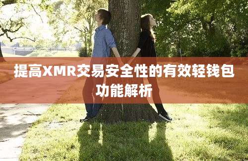 提高XMR交易安全性的有效轻钱包功能解析
