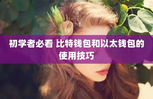 初学者必看 比特钱包和以太钱包的使用技巧