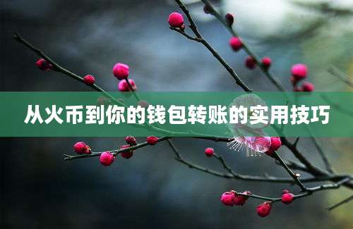 从火币到你的钱包转账的实用技巧