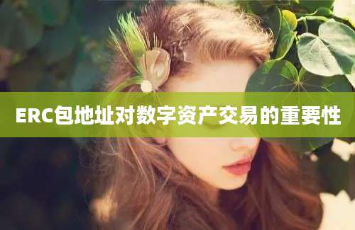 ERC包地址对数字资产交易的重要性
