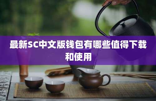 最新SC中文版钱包有哪些值得下载和使用