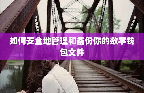 如何安全地管理和备份你的数字钱包文件