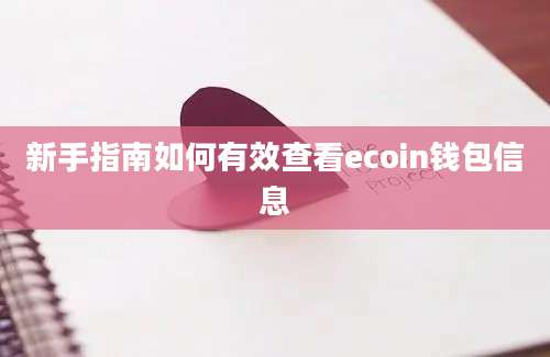 新手指南如何有效查看ecoin钱包信息