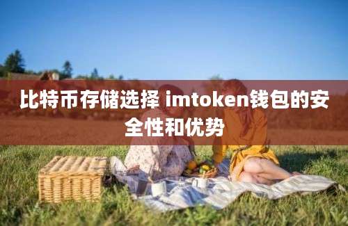 比特币存储选择 imtoken钱包的安全性和优势