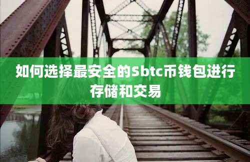 如何选择最安全的Sbtc币钱包进行存储和交易