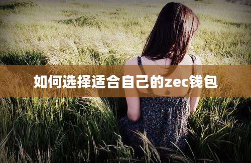 如何选择适合自己的zec钱包