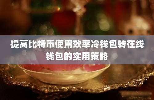 提高比特币使用效率冷钱包转在线钱包的实用策略