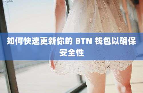 如何快速更新你的 BTN 钱包以确保安全性