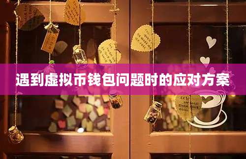 遇到虚拟币钱包问题时的应对方案