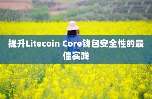 提升Litecoin Core钱包安全性的最佳实践