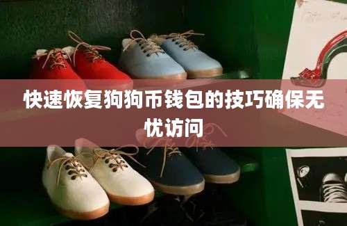 快速恢复狗狗币钱包的技巧确保无忧访问