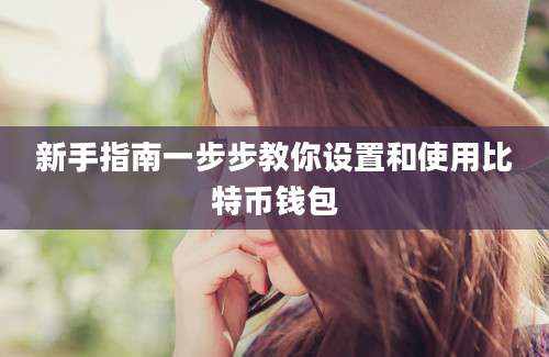新手指南一步步教你设置和使用比特币钱包