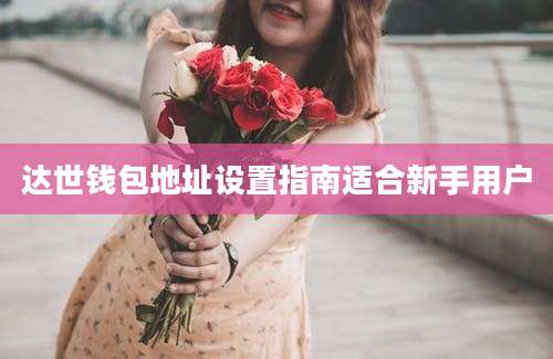 达世钱包地址设置指南适合新手用户