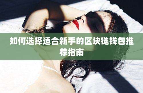 如何选择适合新手的区块链钱包推荐指南