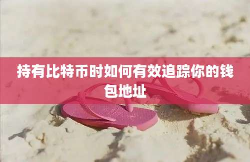 持有比特币时如何有效追踪你的钱包地址