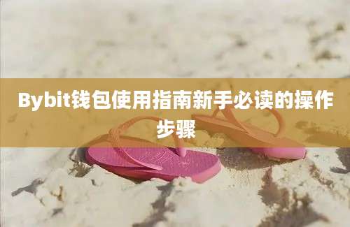 Bybit钱包使用指南新手必读的操作步骤