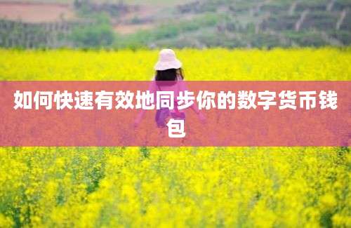 如何快速有效地同步你的数字货币钱包