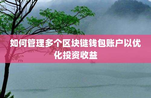 如何管理多个区块链钱包账户以优化投资收益