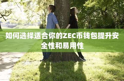 如何选择适合你的ZEC币钱包提升安全性和易用性