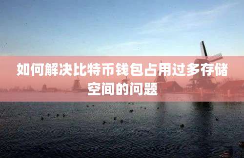 如何解决比特币钱包占用过多存储空间的问题