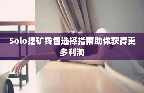 Solo挖矿钱包选择指南助你获得更多利润