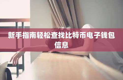 新手指南轻松查找比特币电子钱包信息