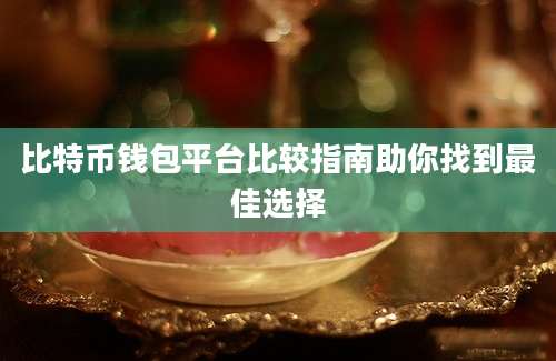 比特币钱包平台比较指南助你找到最佳选择