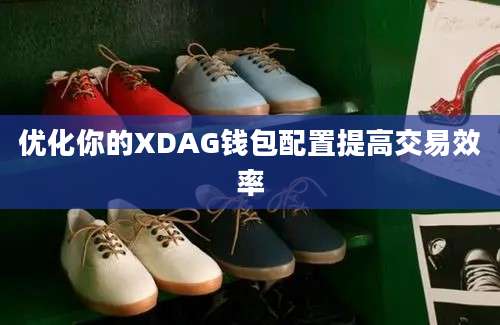 优化你的XDAG钱包配置提高交易效率