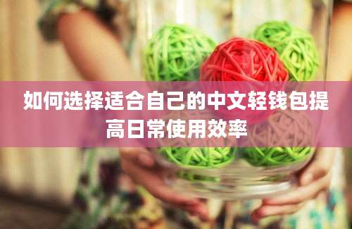 如何选择适合自己的中文轻钱包提高日常使用效率