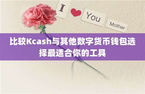 比较Kcash与其他数字货币钱包选择最适合你的工具