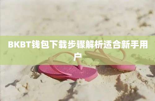 BKBT钱包下载步骤解析适合新手用户