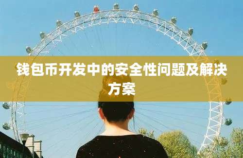 钱包币开发中的安全性问题及解决方案