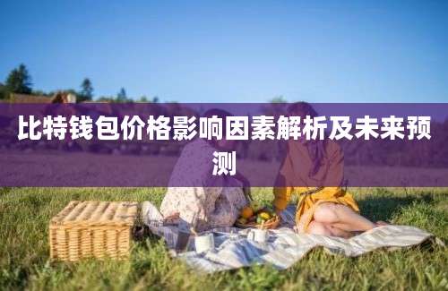 比特钱包价格影响因素解析及未来预测