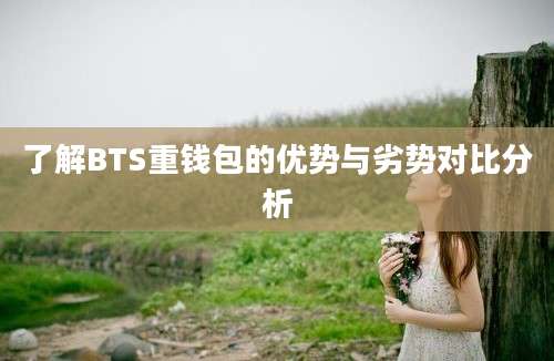 了解BTS重钱包的优势与劣势对比分析