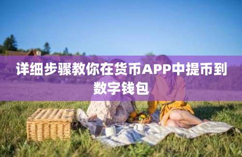 详细步骤教你在货币APP中提币到数字钱包