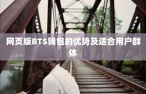 网页版BTS钱包的优势及适合用户群体