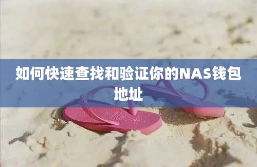 如何快速查找和验证你的NAS钱包地址