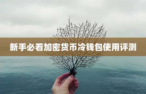 新手必看加密货币冷钱包使用评测